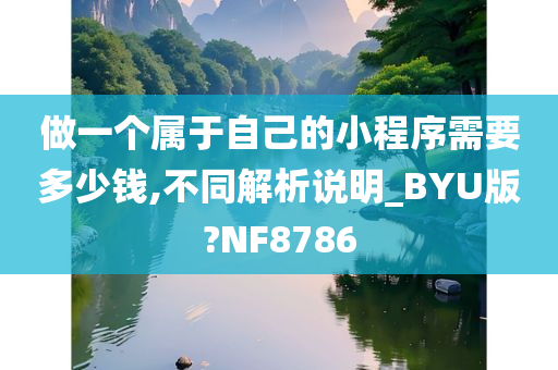 做一个属于自己的小程序需要多少钱,不同解析说明_BYU版?NF8786