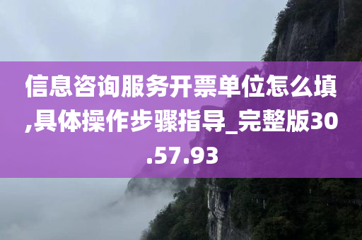 信息咨询服务开票单位怎么填,具体操作步骤指导_完整版30.57.93