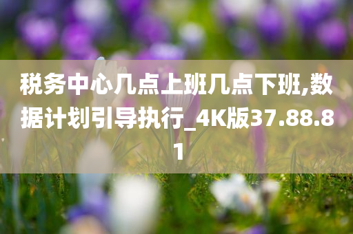 税务中心几点上班几点下班,数据计划引导执行_4K版37.88.81