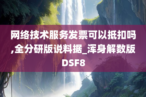 网络技术服务发票可以抵扣吗,全分研版说料据_浑身解数版DSF8