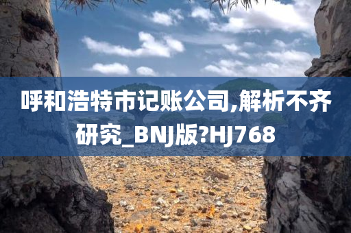 呼和浩特市记账公司,解析不齐研究_BNJ版?HJ768