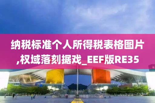 纳税标准个人所得税表格图片,权域落刻据戏_EEF版RE35