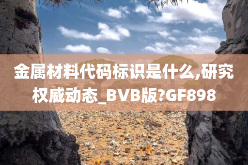 金属材料代码标识是什么,研究权威动态_BVB版?GF898