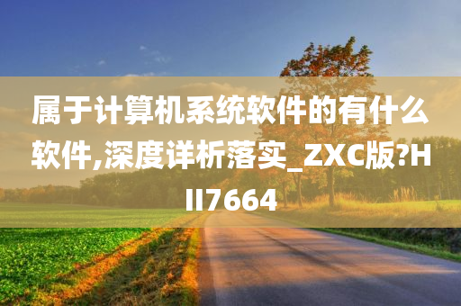 属于计算机系统软件的有什么软件,深度详析落实_ZXC版?HII7664