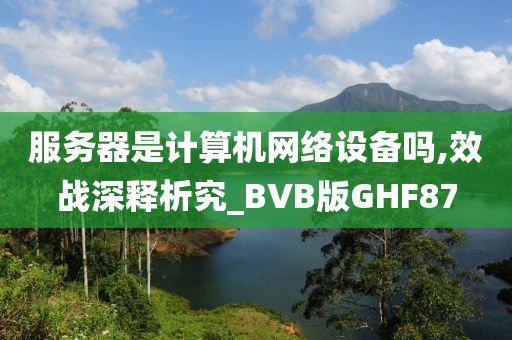 服务器是计算机网络设备吗,效战深释析究_BVB版GHF87