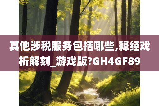 其他涉税服务包括哪些,释经戏析解刻_游戏版?GH4GF89