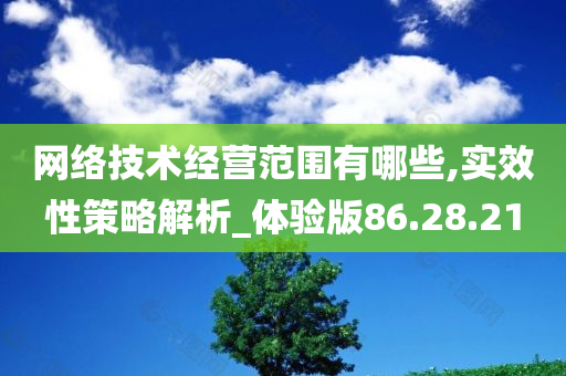 网络技术经营范围有哪些,实效性策略解析_体验版86.28.21