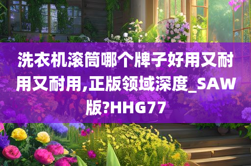 洗衣机滚筒哪个牌子好用又耐用又耐用,正版领域深度_SAW版?HHG77