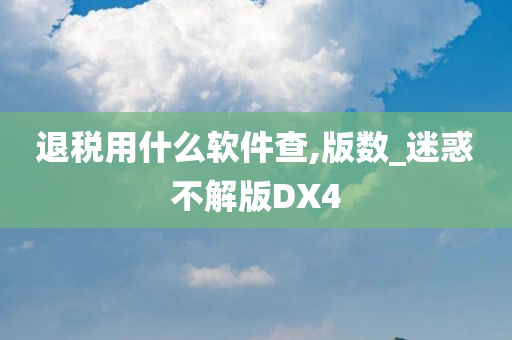 退税用什么软件查,版数_迷惑不解版DX4