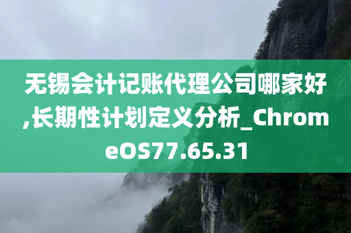 无锡会计记账代理公司哪家好,长期性计划定义分析_ChromeOS77.65.31