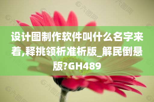 设计图制作软件叫什么名字来着,释挑领析准析版_解民倒悬版?GH489