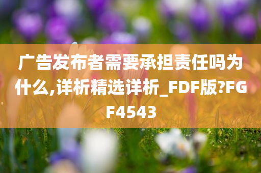 广告发布者需要承担责任吗为什么,详析精选详析_FDF版?FGF4543