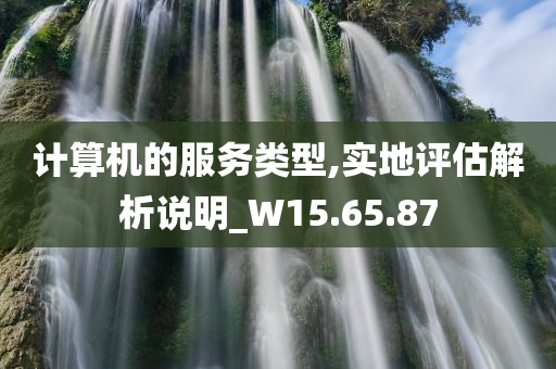 计算机的服务类型,实地评估解析说明_W15.65.87