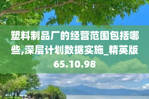 塑料制品厂的经营范围包括哪些,深层计划数据实施_精英版65.10.98