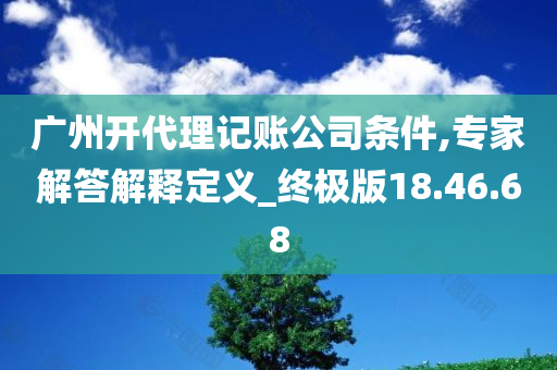 广州开代理记账公司条件,专家解答解释定义_终极版18.46.68