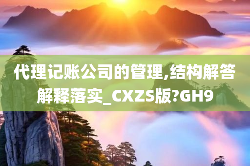 代理记账公司的管理,结构解答解释落实_CXZS版?GH9