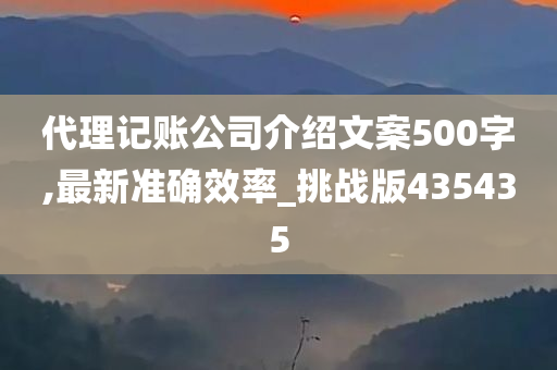 代理记账公司介绍文案500字,最新准确效率_挑战版435435