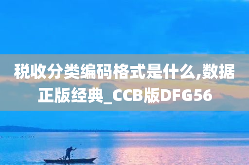 税收分类编码格式是什么,数据正版经典_CCB版DFG56