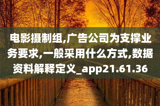 电影摄制组,广告公司为支撑业务要求,一般采用什么方式,数据资料解释定义_app21.61.36