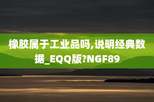 橡胶属于工业品吗,说明经典数据_EQQ版?NGF89