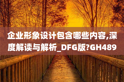 企业形象设计包含哪些内容,深度解读与解析_DFG版?GH489