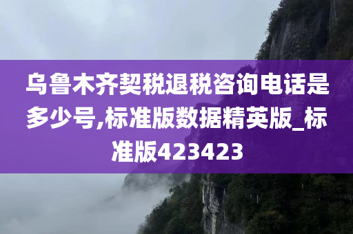 乌鲁木齐契税退税咨询电话是多少号,标准版数据精英版_标准版423423