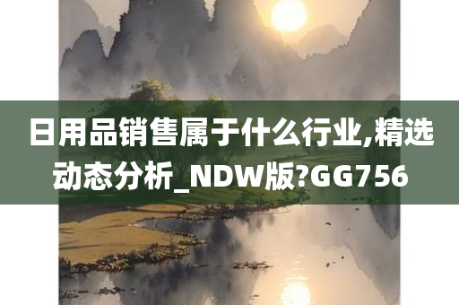 日用品销售属于什么行业,精选动态分析_NDW版?GG756