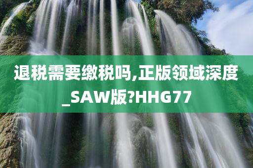 退税需要缴税吗,正版领域深度_SAW版?HHG77