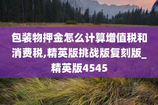 包装物押金怎么计算增值税和消费税,精英版挑战版复刻版_精英版4545