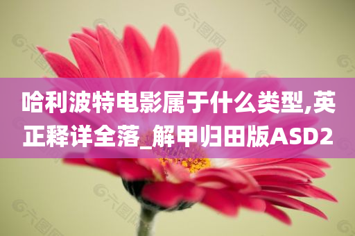 哈利波特电影属于什么类型,英正释详全落_解甲归田版ASD2