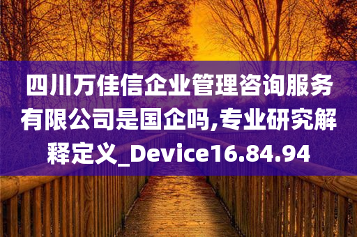 四川万佳信企业管理咨询服务有限公司是国企吗,专业研究解释定义_Device16.84.94