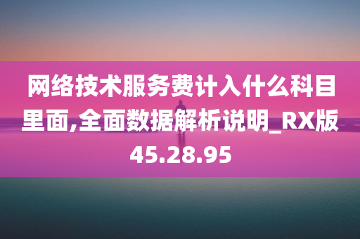 网络技术服务费计入什么科目里面,全面数据解析说明_RX版45.28.95