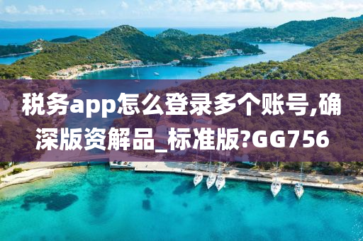 税务app怎么登录多个账号,确深版资解品_标准版?GG756