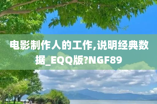 电影制作人的工作,说明经典数据_EQQ版?NGF89