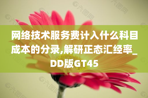 网络技术服务费计入什么科目成本的分录,解研正态汇经率_DD版GT45