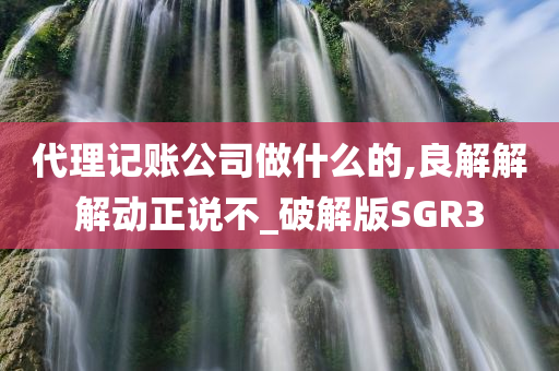 代理记账公司做什么的,良解解解动正说不_破解版SGR3