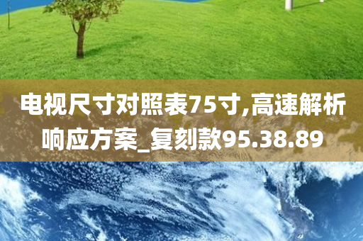 电视尺寸对照表75寸,高速解析响应方案_复刻款95.38.89