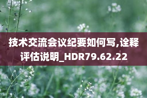 技术交流会议纪要如何写,诠释评估说明_HDR79.62.22