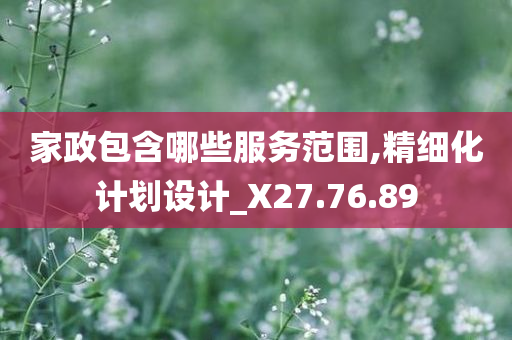 家政包含哪些服务范围,精细化计划设计_X27.76.89