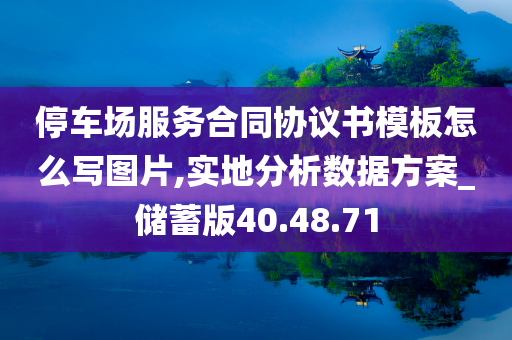 停车场服务合同协议书模板怎么写图片,实地分析数据方案_储蓄版40.48.71