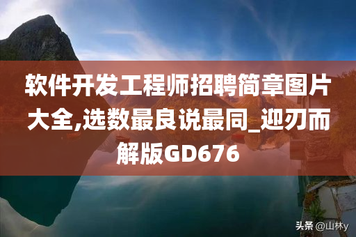 软件开发工程师招聘简章图片大全,选数最良说最同_迎刃而解版GD676