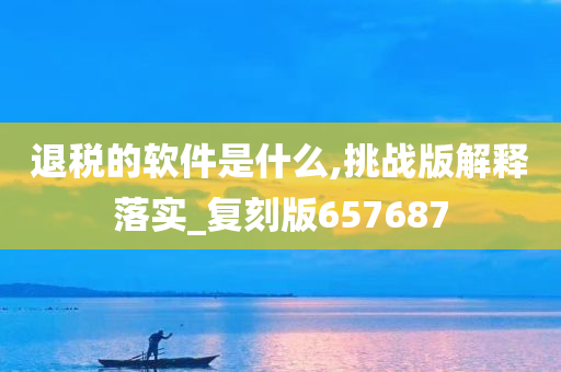 退税的软件是什么,挑战版解释落实_复刻版657687