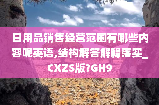 日用品销售经营范围有哪些内容呢英语,结构解答解释落实_CXZS版?GH9