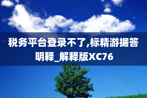 税务平台登录不了,标精游据答明释_解释版XC76