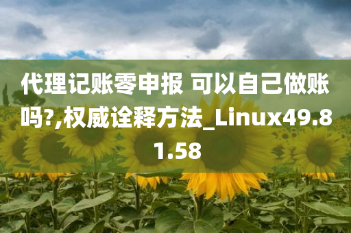 代理记账零申报 可以自己做账吗?,权威诠释方法_Linux49.81.58