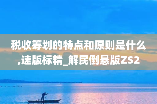 税收筹划的特点和原则是什么,速版标精_解民倒悬版ZS2