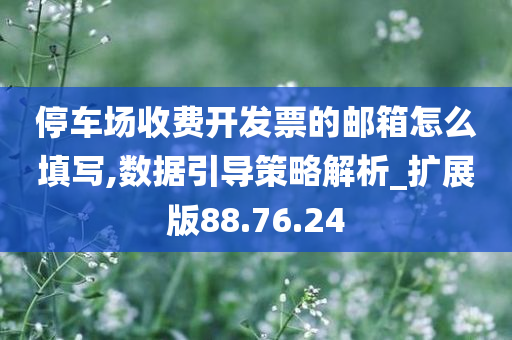 停车场收费开发票的邮箱怎么填写,数据引导策略解析_扩展版88.76.24