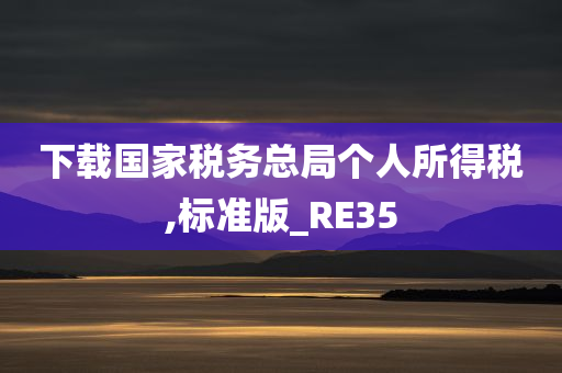 下载国家税务总局个人所得税,标准版_RE35