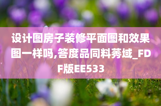 设计图房子装修平面图和效果图一样吗,答度品同料莠域_FDF版EE533