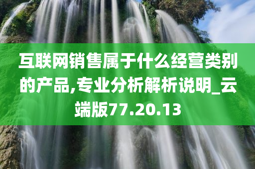 互联网销售属于什么经营类别的产品,专业分析解析说明_云端版77.20.13